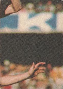 1977 Scanlens VFL #90 Bruce Nankervis Back